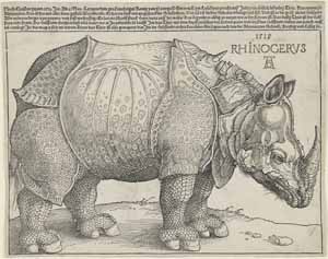 Albrecht Dürer, Rhinocerus (Das Rhinozeros), 1515, Kunsthalle Bremen – Der Kunstverein in Bremen